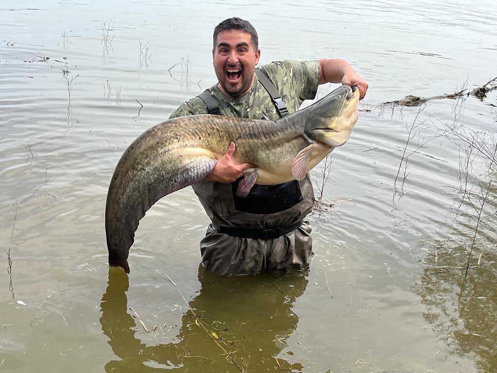 Pesca a Pato de Siluro