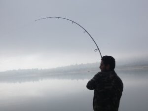 259866160_1239781266518597_2500202201379215979_n