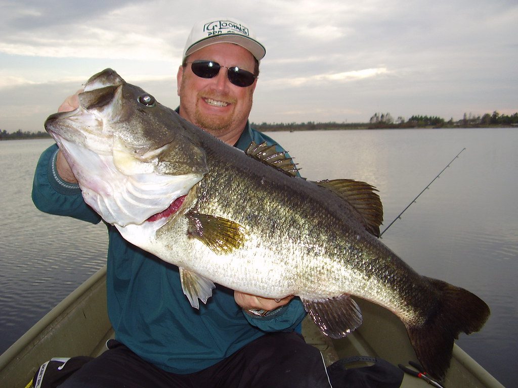 La pesca del Black Bass en España