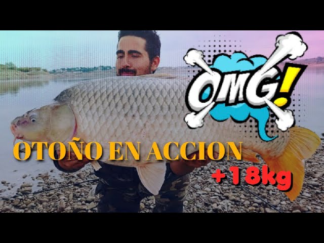 Carpfishing Ebro Otoñal | BIG MONSTER CARP +18Kg