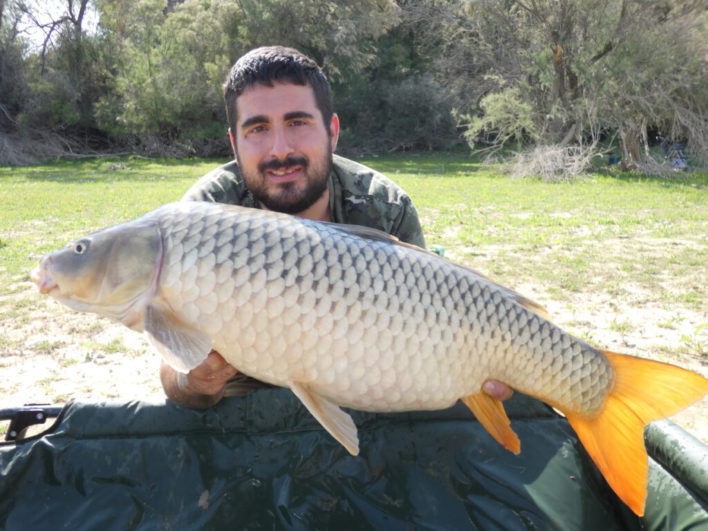Navegando por las Ondas de la Pesca: ¡La Aventura Acuática que Nunca Olvidarás!