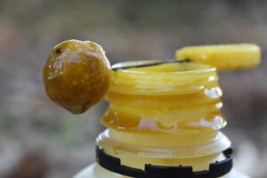 Imagen de WhatsApp 2024-09-01 a las 13.23.40_d9ce3793