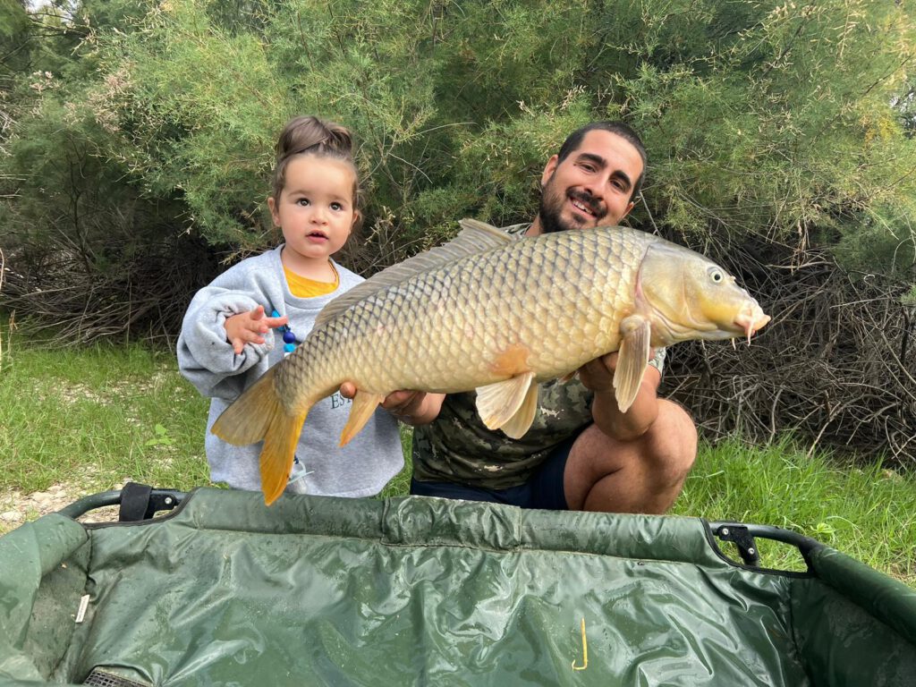 541615b2-3ed7-4d98-ae33-369bd9d903c0